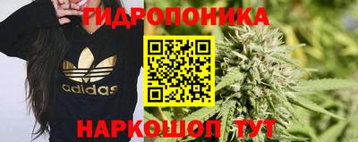 марихуана Будённовск