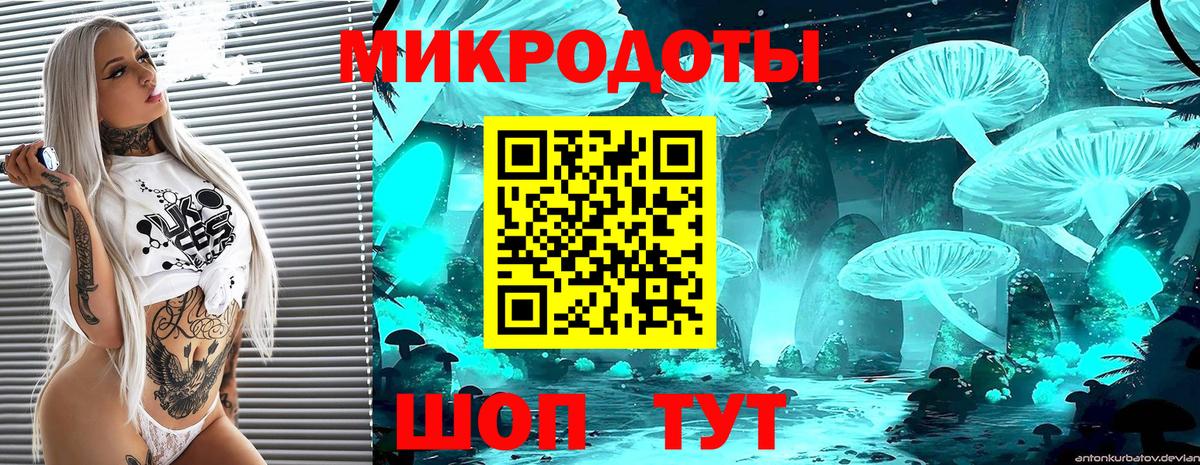 Псилоцибиновые грибы MAGIC MUSHROOMS Кушва